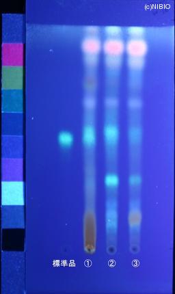 http://mpdb.nibiohn.go.jp/CONTENTS_ROOT/JP_IDENTIFICATION_PHOTO_DATA/JP_IDENTIFICATION_PHOTO_FILE/thumbnail/854.jpg