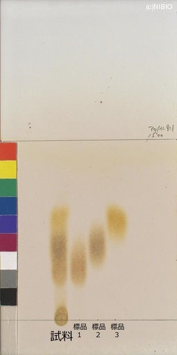 http://mpdb.nibiohn.go.jp/CONTENTS_ROOT/JP_IDENTIFICATION_PHOTO_DATA/JP_IDENTIFICATION_PHOTO_FILE/thumbnail/346.jpg