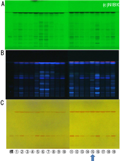 http://mpdb.nibiohn.go.jp/CONTENTS_ROOT/TLC_DATA/TLC_FIG_FILE/thumbnail/794.jpg