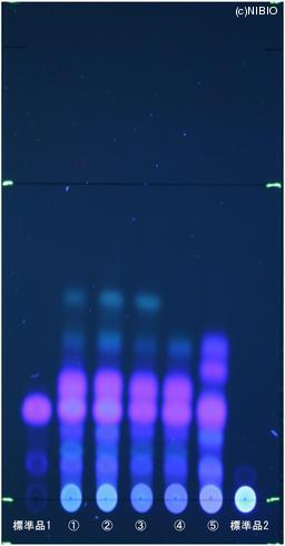 http://mpdb.nibiohn.go.jp/CONTENTS_ROOT/JP_IDENTIFICATION_PHOTO_DATA/JP_IDENTIFICATION_PHOTO_FILE/thumbnail/819.jpg