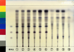 http://mpdb.nibiohn.go.jp/CONTENTS_ROOT/JP_IDENTIFICATION_PHOTO_DATA/JP_IDENTIFICATION_PHOTO_FILE/thumbnail/1330.jpg