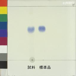 http://mpdb.nibiohn.go.jp/CONTENTS_ROOT/JP_IDENTIFICATION_PHOTO_DATA/JP_IDENTIFICATION_PHOTO_FILE/thumbnail/1056.jpg