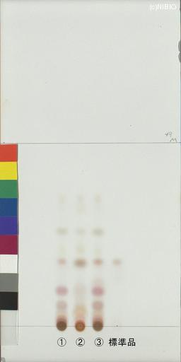 http://mpdb.nibiohn.go.jp/CONTENTS_ROOT/JP_IDENTIFICATION_PHOTO_DATA/JP_IDENTIFICATION_PHOTO_FILE/thumbnail/1076.jpg