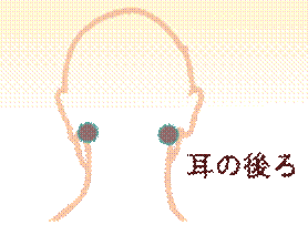 width=