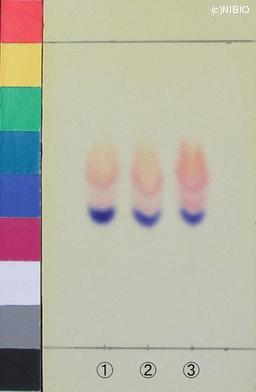 http://mpdb.nibiohn.go.jp/CONTENTS_ROOT/JP_IDENTIFICATION_PHOTO_DATA/JP_IDENTIFICATION_PHOTO_FILE/thumbnail/1180.jpg