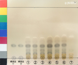 http://mpdb.nibiohn.go.jp/CONTENTS_ROOT/JP_IDENTIFICATION_PHOTO_DATA/JP_IDENTIFICATION_PHOTO_FILE/thumbnail/1354.jpg