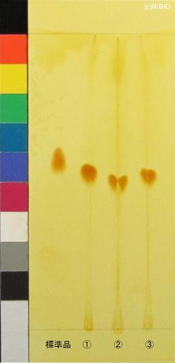 http://mpdb.nibiohn.go.jp/CONTENTS_ROOT/JP_IDENTIFICATION_PHOTO_DATA/JP_IDENTIFICATION_PHOTO_FILE/thumbnail/630.JPG