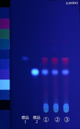 http://mpdb.nibiohn.go.jp/CONTENTS_ROOT/JP_IDENTIFICATION_PHOTO_DATA/JP_IDENTIFICATION_PHOTO_FILE/thumbnail/390.jpg