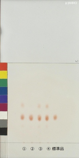 http://mpdb.nibiohn.go.jp/CONTENTS_ROOT/JP_IDENTIFICATION_PHOTO_DATA/JP_IDENTIFICATION_PHOTO_FILE/thumbnail/1018.jpg