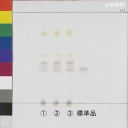http://mpdb.nibiohn.go.jp/CONTENTS_ROOT/JP_IDENTIFICATION_PHOTO_DATA/JP_IDENTIFICATION_PHOTO_FILE/thumbnail/1043.jpg