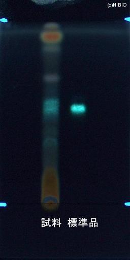 http://mpdb.nibiohn.go.jp/CONTENTS_ROOT/JP_IDENTIFICATION_PHOTO_DATA/JP_IDENTIFICATION_PHOTO_FILE/thumbnail/855.jpg