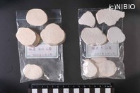 http://mpdb.nibiohn.go.jp/CONTENTS_ROOT/PLANT_PHOTO_DATA/PHOTO_FILE/thumbnail/411.jpg