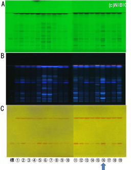 http://mpdb.nibiohn.go.jp/CONTENTS_ROOT/TLC_DATA/TLC_FIG_FILE/thumbnail/795.jpg