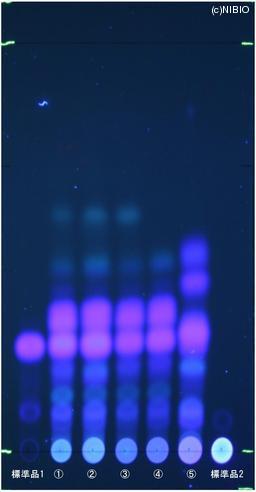 http://mpdb.nibiohn.go.jp/CONTENTS_ROOT/JP_IDENTIFICATION_PHOTO_DATA/JP_IDENTIFICATION_PHOTO_FILE/thumbnail/820.jpg