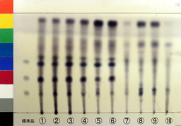 http://mpdb.nibiohn.go.jp/CONTENTS_ROOT/JP_IDENTIFICATION_PHOTO_DATA/JP_IDENTIFICATION_PHOTO_FILE/thumbnail/1331.jpg