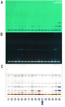 http://mpdb.nibiohn.go.jp/CONTENTS_ROOT/TLC_DATA/TLC_FIG_FILE/thumbnail/747.jpg