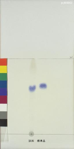 http://mpdb.nibiohn.go.jp/CONTENTS_ROOT/JP_IDENTIFICATION_PHOTO_DATA/JP_IDENTIFICATION_PHOTO_FILE/thumbnail/1057.jpg