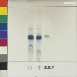 http://mpdb.nibiohn.go.jp/CONTENTS_ROOT/JP_IDENTIFICATION_PHOTO_DATA/JP_IDENTIFICATION_PHOTO_FILE/thumbnail/1001.jpg