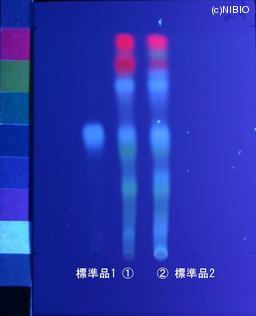 http://mpdb.nibiohn.go.jp/CONTENTS_ROOT/JP_IDENTIFICATION_PHOTO_DATA/JP_IDENTIFICATION_PHOTO_FILE/thumbnail/1183.jpg