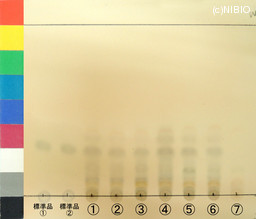 http://mpdb.nibiohn.go.jp/CONTENTS_ROOT/JP_IDENTIFICATION_PHOTO_DATA/JP_IDENTIFICATION_PHOTO_FILE/thumbnail/1355.jpg