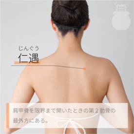 仁遇 じんぐう｜ツボの場所と効果｜ツボネット 鍼灸の症例が検索できるツボ辞典