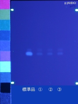 http://mpdb.nibiohn.go.jp/CONTENTS_ROOT/JP_IDENTIFICATION_PHOTO_DATA/JP_IDENTIFICATION_PHOTO_FILE/thumbnail/499.jpg