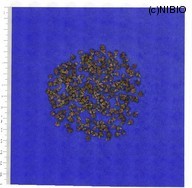 http://mpdb.nibiohn.go.jp/CONTENTS_ROOT/MODL_SMP_COM_T/FLM_GAIKEI_FILE/thumbnail/743.jpg