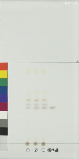 http://mpdb.nibiohn.go.jp/CONTENTS_ROOT/JP_IDENTIFICATION_PHOTO_DATA/JP_IDENTIFICATION_PHOTO_FILE/thumbnail/1044.jpg