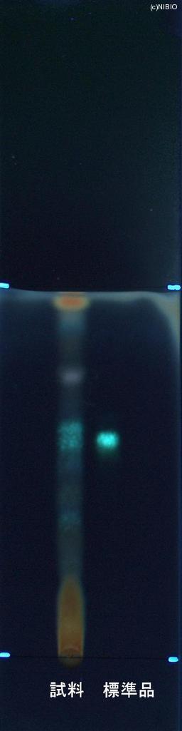 http://mpdb.nibiohn.go.jp/CONTENTS_ROOT/JP_IDENTIFICATION_PHOTO_DATA/JP_IDENTIFICATION_PHOTO_FILE/thumbnail/856.jpg