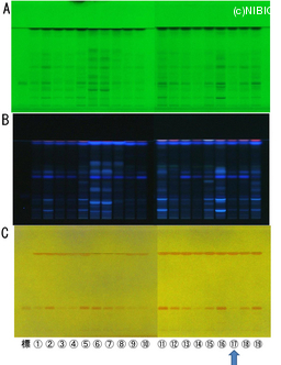 http://mpdb.nibiohn.go.jp/CONTENTS_ROOT/TLC_DATA/TLC_FIG_FILE/thumbnail/796.jpg