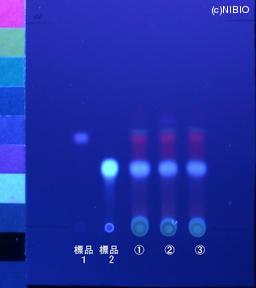 http://mpdb.nibiohn.go.jp/CONTENTS_ROOT/JP_IDENTIFICATION_PHOTO_DATA/JP_IDENTIFICATION_PHOTO_FILE/thumbnail/1235.jpg