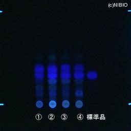http://mpdb.nibiohn.go.jp/CONTENTS_ROOT/JP_IDENTIFICATION_PHOTO_DATA/JP_IDENTIFICATION_PHOTO_FILE/thumbnail/821.jpg