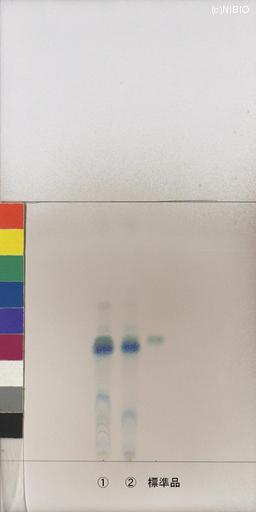 http://mpdb.nibiohn.go.jp/CONTENTS_ROOT/JP_IDENTIFICATION_PHOTO_DATA/JP_IDENTIFICATION_PHOTO_FILE/thumbnail/1002.jpg