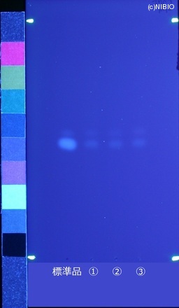 http://mpdb.nibiohn.go.jp/CONTENTS_ROOT/JP_IDENTIFICATION_PHOTO_DATA/JP_IDENTIFICATION_PHOTO_FILE/thumbnail/500.jpg