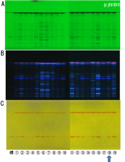 http://mpdb.nibiohn.go.jp/CONTENTS_ROOT/TLC_DATA/TLC_FIG_FILE/thumbnail/797.jpg