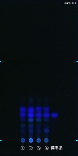 http://mpdb.nibiohn.go.jp/CONTENTS_ROOT/JP_IDENTIFICATION_PHOTO_DATA/JP_IDENTIFICATION_PHOTO_FILE/thumbnail/822.jpg