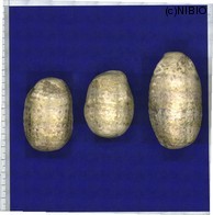 http://mpdb.nibiohn.go.jp/CONTENTS_ROOT/MODL_SMP_COM_T/FLM_GAIKEI_FILE/thumbnail/310.jpg