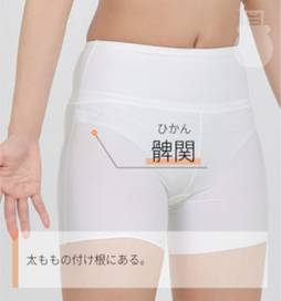 髀関 ひかん｜ツボの場所と効果｜ツボネット 鍼灸の症例が検索できるツボ辞典