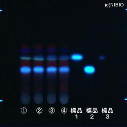 http://mpdb.nibiohn.go.jp/CONTENTS_ROOT/JP_IDENTIFICATION_PHOTO_DATA/JP_IDENTIFICATION_PHOTO_FILE/thumbnail/1236.jpg