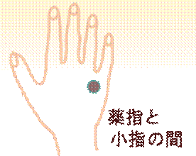 width=