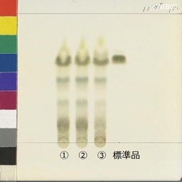 http://mpdb.nibiohn.go.jp/CONTENTS_ROOT/JP_IDENTIFICATION_PHOTO_DATA/JP_IDENTIFICATION_PHOTO_FILE/thumbnail/455.jpg