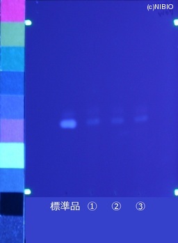 http://mpdb.nibiohn.go.jp/CONTENTS_ROOT/JP_IDENTIFICATION_PHOTO_DATA/JP_IDENTIFICATION_PHOTO_FILE/thumbnail/501.jpg