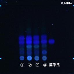 http://mpdb.nibiohn.go.jp/CONTENTS_ROOT/JP_IDENTIFICATION_PHOTO_DATA/JP_IDENTIFICATION_PHOTO_FILE/thumbnail/823.jpg