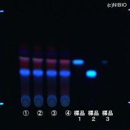 http://mpdb.nibiohn.go.jp/CONTENTS_ROOT/JP_IDENTIFICATION_PHOTO_DATA/JP_IDENTIFICATION_PHOTO_FILE/thumbnail/1237.jpg