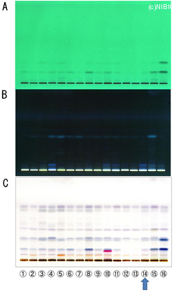 http://mpdb.nibiohn.go.jp/CONTENTS_ROOT/TLC_DATA/TLC_FIG_FILE/thumbnail/750.jpg