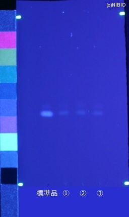 http://mpdb.nibiohn.go.jp/CONTENTS_ROOT/JP_IDENTIFICATION_PHOTO_DATA/JP_IDENTIFICATION_PHOTO_FILE/thumbnail/502.jpg