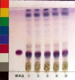 http://mpdb.nibiohn.go.jp/CONTENTS_ROOT/JP_IDENTIFICATION_PHOTO_DATA/JP_IDENTIFICATION_PHOTO_FILE/thumbnail/937.jpg