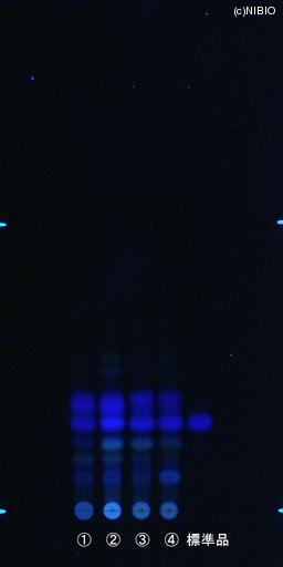 http://mpdb.nibiohn.go.jp/CONTENTS_ROOT/JP_IDENTIFICATION_PHOTO_DATA/JP_IDENTIFICATION_PHOTO_FILE/thumbnail/824.jpg