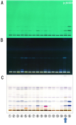 http://mpdb.nibiohn.go.jp/CONTENTS_ROOT/TLC_DATA/TLC_FIG_FILE/thumbnail/751.jpg