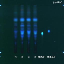 http://mpdb.nibiohn.go.jp/CONTENTS_ROOT/JP_IDENTIFICATION_PHOTO_DATA/JP_IDENTIFICATION_PHOTO_FILE/thumbnail/607.jpg